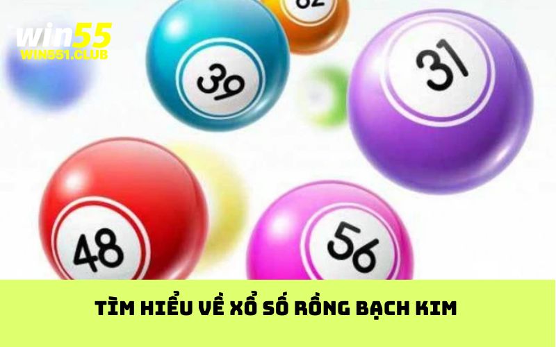 Tìm hiểu về xổ số rồng bạch kim